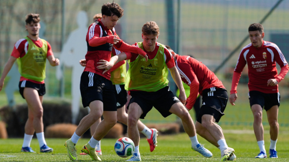 UEFA Profi C Tanfolyam - 2026